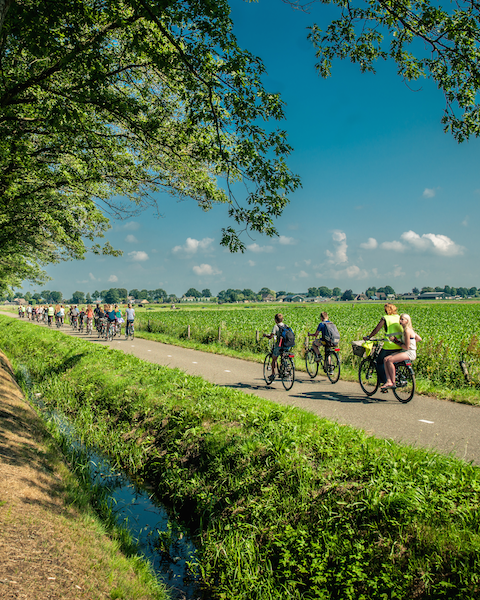 Groep fietsers op een landweg door de polder, langs een sloot en groene weilanden